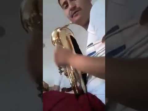 proba za vlasinsko leto 2020