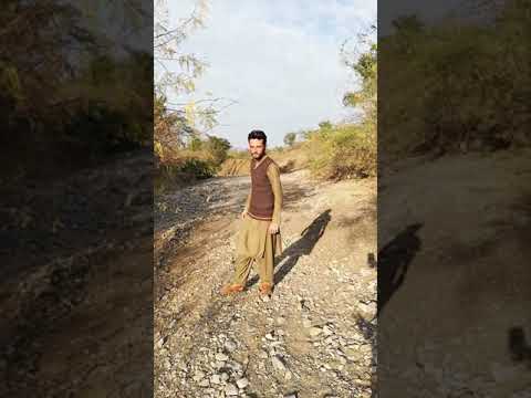 Nice #hashtags short video