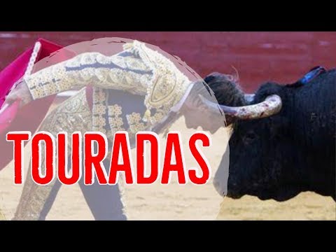 AS TOURADAS VÃO CONTINUAR - QUERO LÁ SABER #38