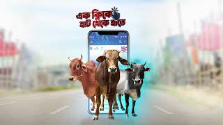 ডিজিটাল হাট ২০২২ কুরবানির পশুর সমাধান