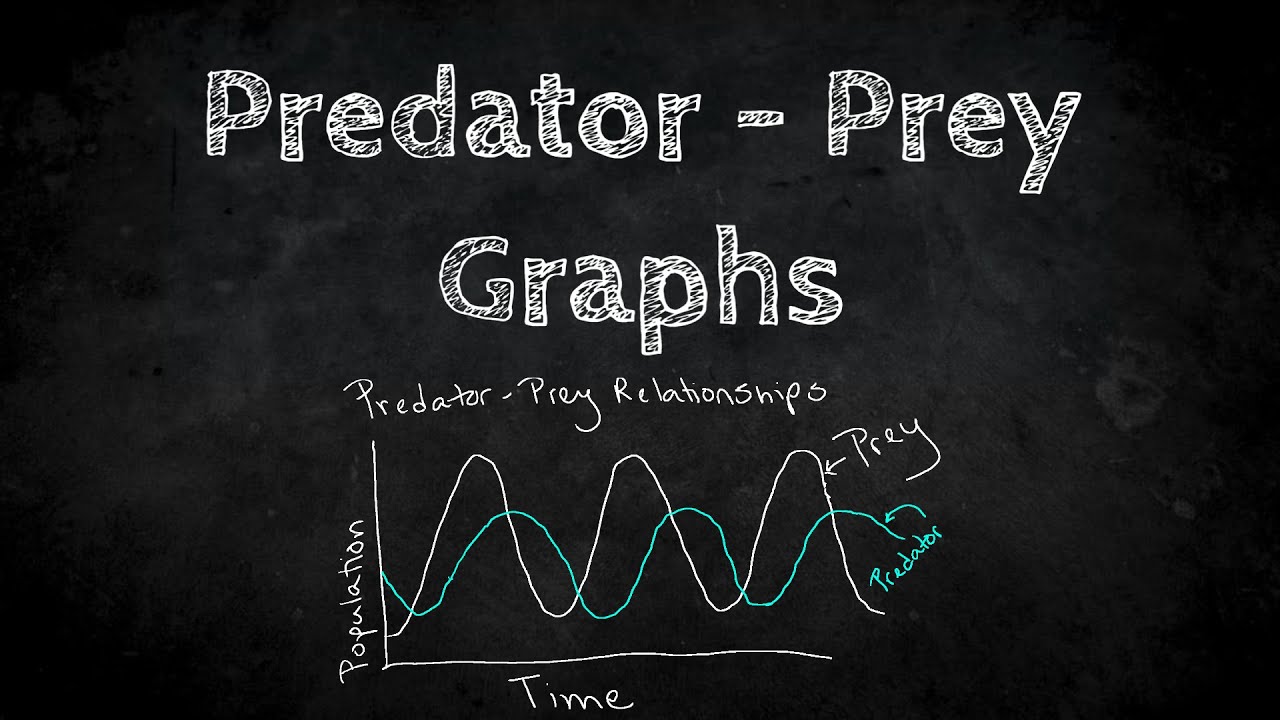 Predator Prey Graphing
