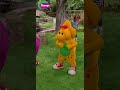 Missing Summer Shorts For Kids Green Grass Grows Barneythedinosaur Songsforkids