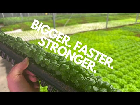 Growth and Germination Tips and A Fun Experiment!