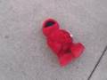 ChronicleT Com Elmo T M X Flipping Out