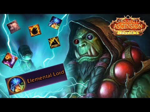 this SHAMAN TANK is INSANE!! (BIG DPS) | Elemental Lord is GROSS! | Season 8 Build Guide