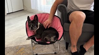 Relaxační křeslo pro psa černé