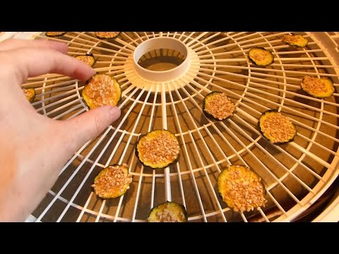 download lagu mp3 mp4 How To Make Zucchini Chips In Dehydrator, download lagu How To Make Zucchini Chips In Dehydrator gratis, unduh video klip How To Make Zucchini Chips In Dehydrator