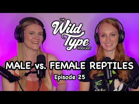 Which is better: Male vs female reptiles | Episode 25