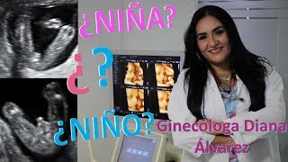 COMO SABER EL SEXO DE MI BEBE MITOS Y VERDADES POR GINECÓLOGA DIANA ALVAREZ