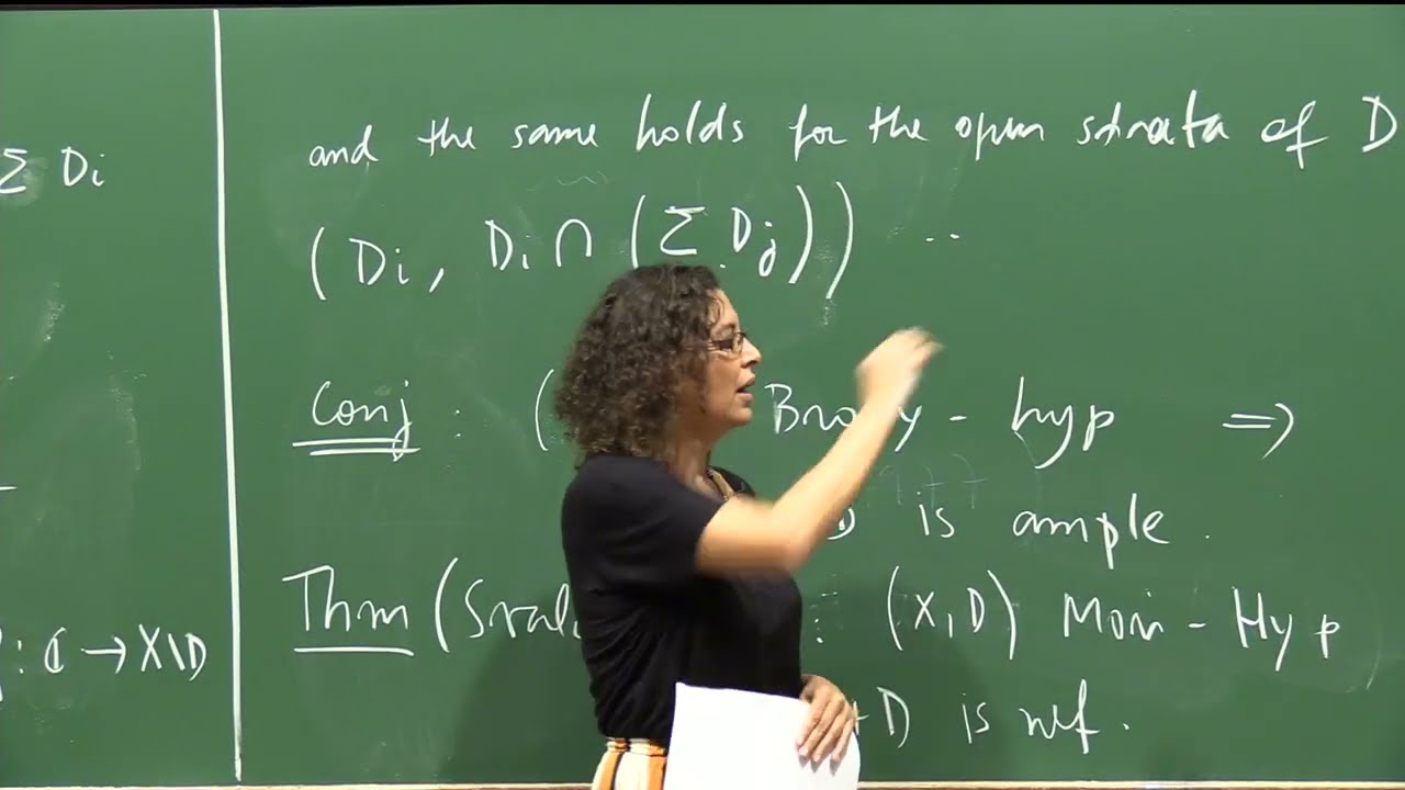 Palestra Especial - Birational geometry of Calabi-Yau pairs - Carolina Araujo (2025)