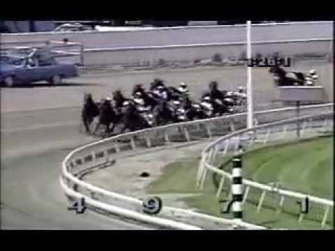 1989 Meadowlands PROBE Hambletonian 1st Heat