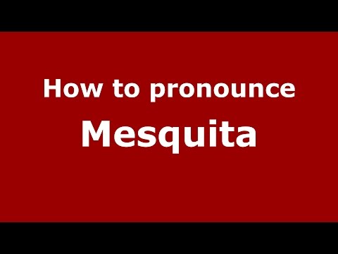 How to pronounce Mesquita