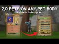 How To Get Perfect Pets On Any Pet Body In Wizard101