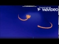 Opening To Codyladdin Special Edition 2004 DVD Disc 1