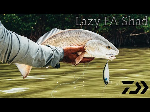 Introducing: t...