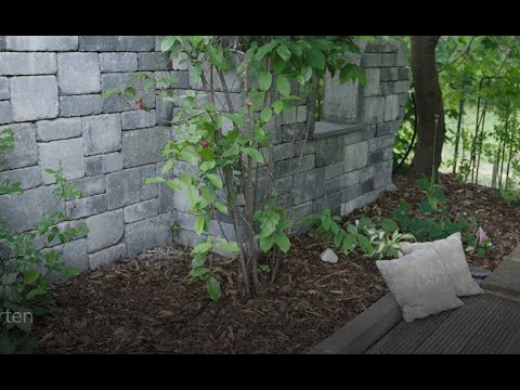 Gartennacht 2021-4 Senkgarten