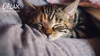 無廣告-睡眠放鬆音樂-舒適輕柔的鋼琴音樂-令人放鬆心情及一夜好眠