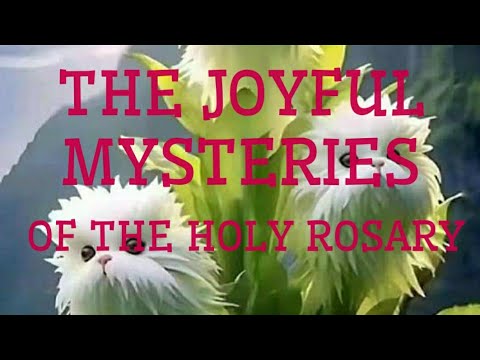 17  February 2024 ( SATURDAY ROSARY ) THE JOYFUL MYSTERIES OF THE HOLY ROSARY