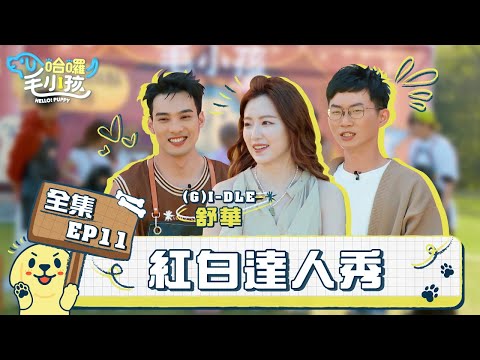 哈囉!毛小孩