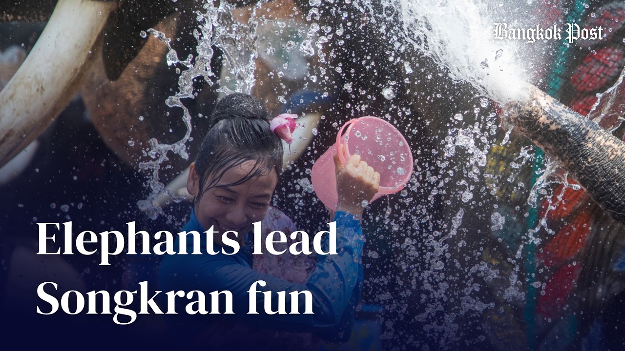 Elephants join in Songkran festivities with locals and tourists in Ayutthaya