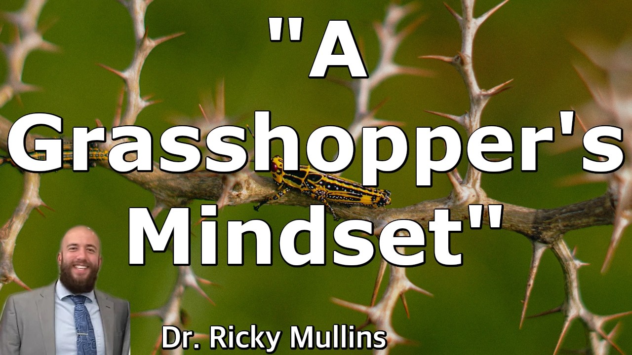A Grasshopper's Mindset