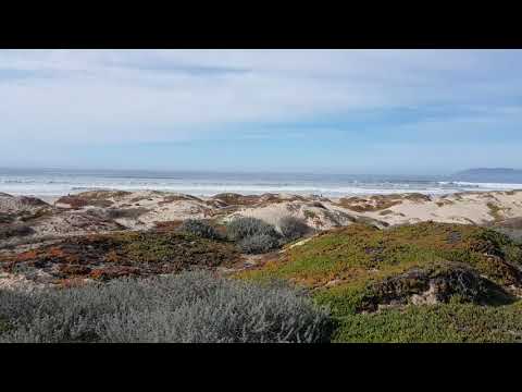 visit to Pismo Beach walking trails   👍Subscribed & Shares Video