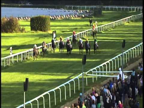 Galopprennbahn Dresden - 27.09.2014 - 6.Rennen