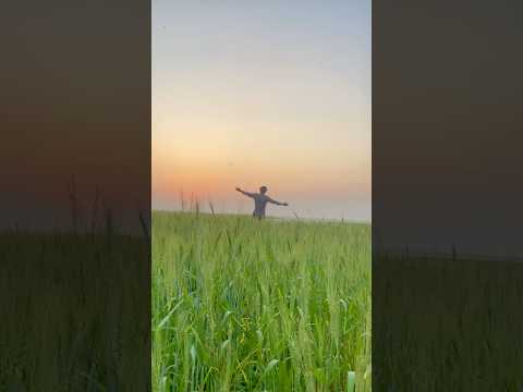 The view amazing Rajshahi #travel #beach #music #love #sky #nyctravel