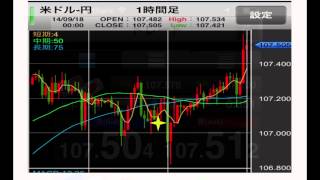 FX取引に挑戦！（外国為替取引で稼げるか？）