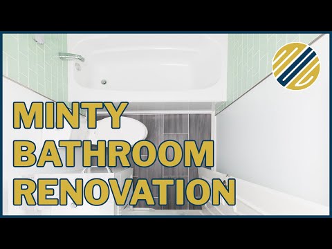Adriana's Guest Bathroom Renovation in Falls Church, VA
