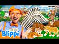 Blippi Explores Jungle Animals 2 HOURS BEST OF BLIPPI Educational Videos For Kids Blippi Toys