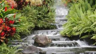 John Phillips : April Ann