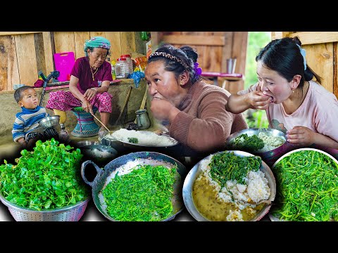 Organic Watercress (Simsag) Recipe with rice | Greens vegetable | Sim Rayo | New Nepali Village vlog