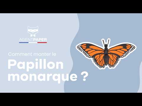 Papillon Monarque - vidéo de présentation
