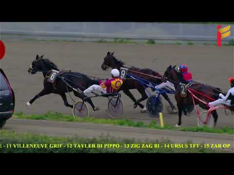 VII Corsa del 19 Marzo 2022 - 7 Anni ed oltre - Metri 1600 - Gentlemen