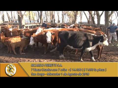 01-08-18 Venta de Vientres - Ricardo Peiretti S.A. - San Jorge.