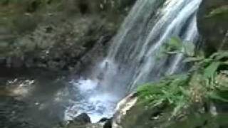 preview picture of video 'Tour Veracruz, Mexico and Visit Hidden Jungle Waterfalls Like This One'