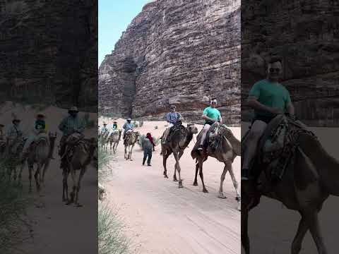 Camel ride in the Wadi Rum Desert 07/2024(1)