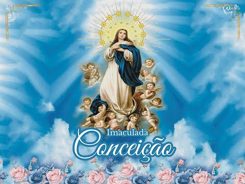 8º Dia da Novena a Imacula Conceição de Maria - Morro Agudo de Goiás - Santa Missa