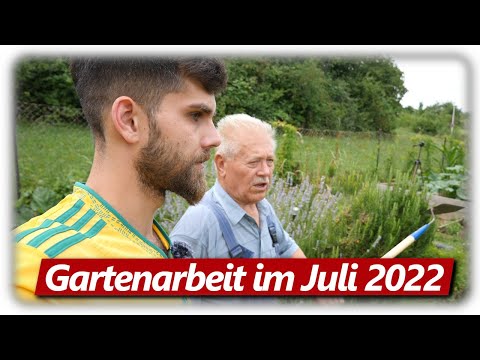 Gartenarbeit Juli 2022 | Tomaten Experiment, Jahresbedarf Knoblauch | Gemüsegarten mit Hochbeeten