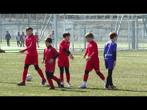 04.03.2023 REZUMAT AF Radu Rebeja-LIMPS - ȘSSF Nr.1  12-0