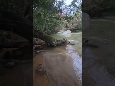 Río Arenales San Rafael Antioquia Co #travesia #travel #2026 #tarde #nature #diversion #vida #paz