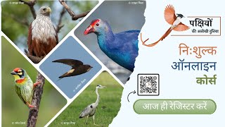 पक्षियों की अनोखी दुनिया | निःशुल्क ऑनलाइन कोर्स | The Wonder of Birds | Free Online Course