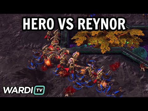 herO vs Reynor (PvZ) - World Team League Summer 2023 [StarCraft 2]