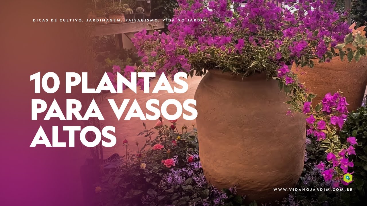 10 PLANTAS para VASOS ALTOS