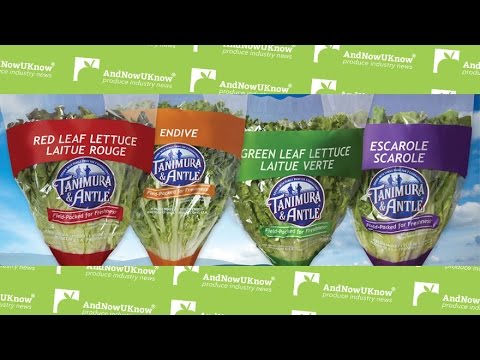 AndNowUKnow - Tanimura & Antle - Shop Talk