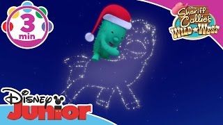 Sheriff Callie | Toby's Christmas Critter | Disney Junior UK