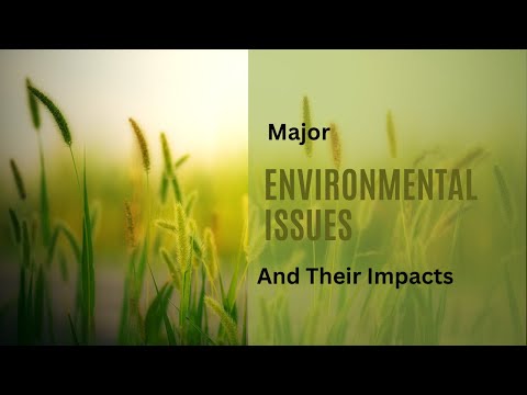Top 10 Environmental Issues in 2023 You Should Know | Global Warming|