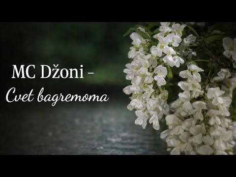 MC Džoni - Cvet bagremova 