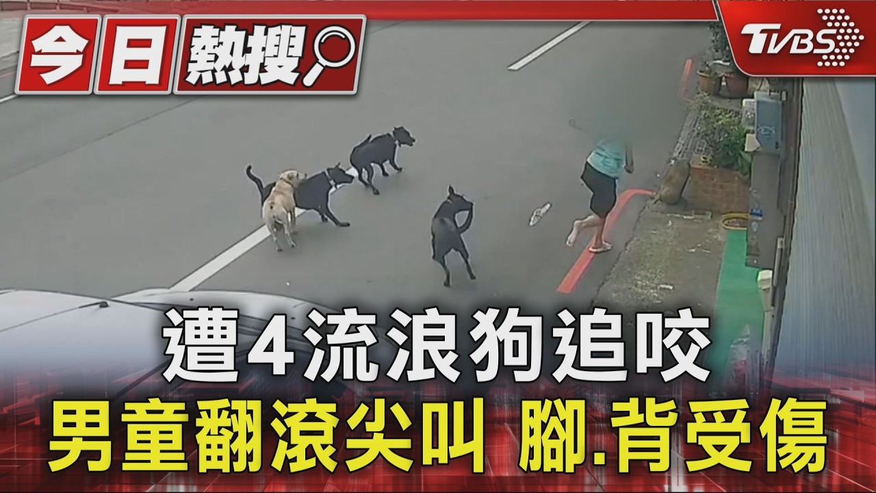 影音/監視器全拍下!男童遭4流浪狗圍攻 嚇到腿軟「連滾帶爬」逃命